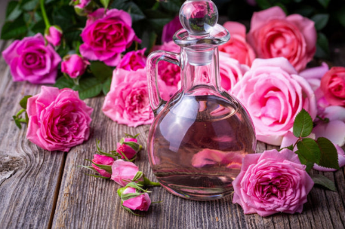 Organic Essential Oils to Heighten Your Tallow Balm Experience